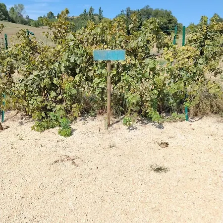Le Cocon Des Collines Casa vacanze *